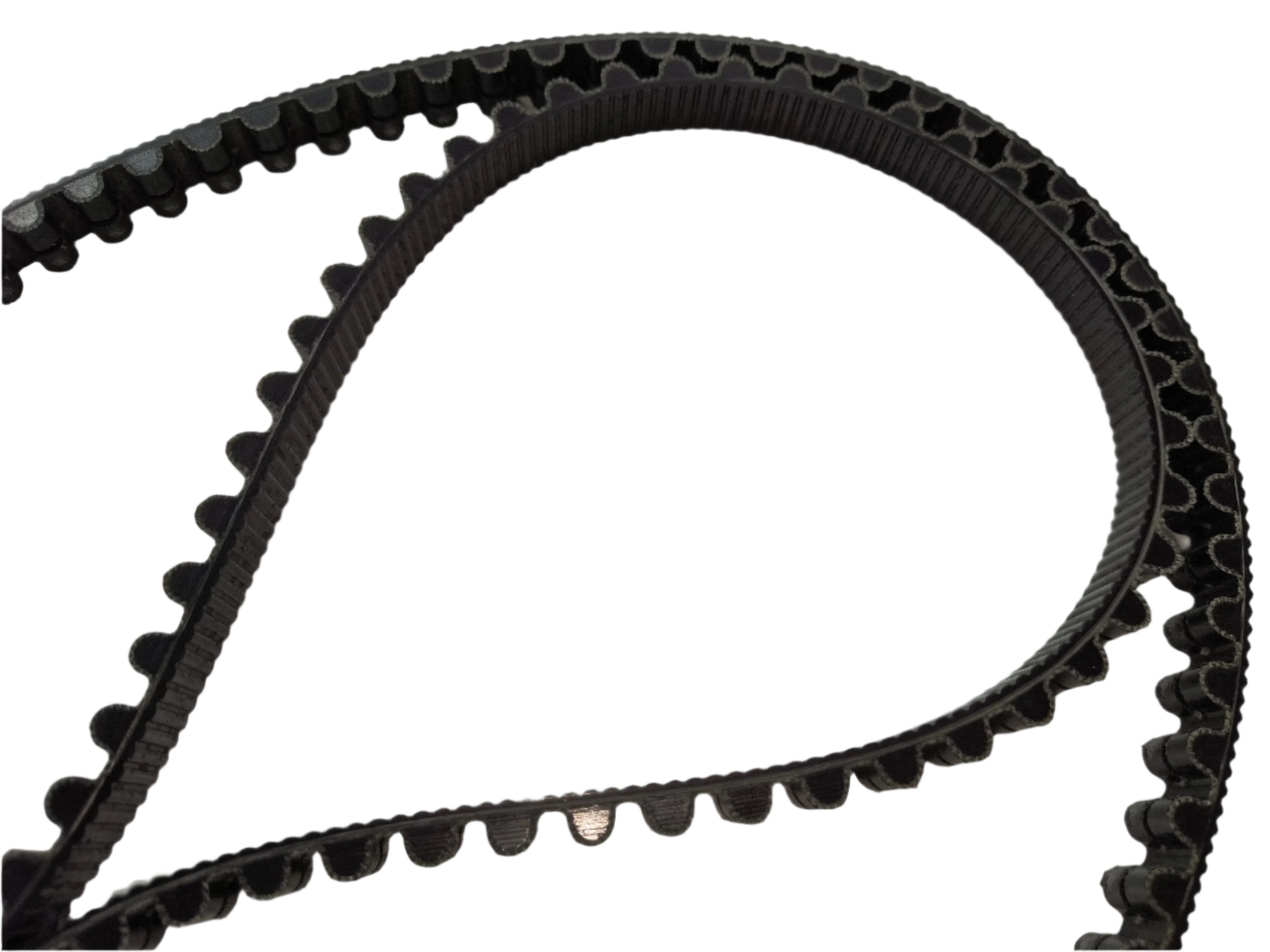 HALEO BLACK CARBON BELT サイズＭ Gates Carbon Drive CDX Belt - Spare Parts - Scooteretti